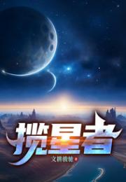 揽星者