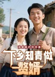 下乡知青做赘婿