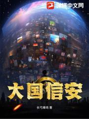 大国信安