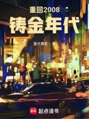 重回2008：铸金年代