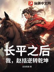 长平之后，我，赵括逆转乾坤